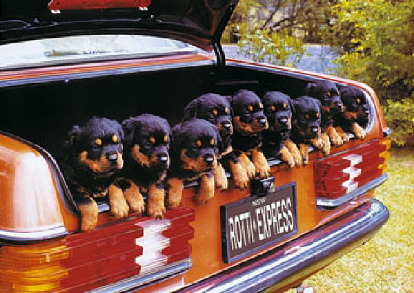 Famille nombreuse-humourenvrac